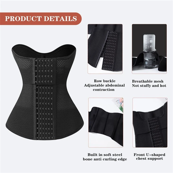 Bustier Corset Waist Trainer price